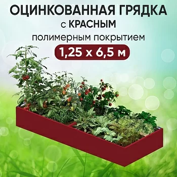 Грядка красная (1,25 х 6,5)